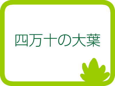 �l���\�̑�t