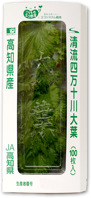 �l���\�̑�t